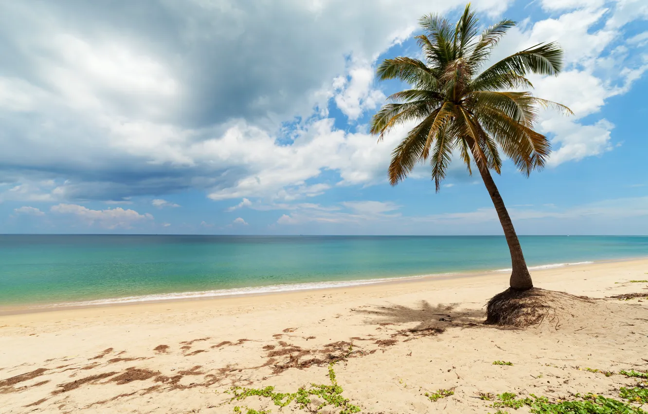 Photo wallpaper sand, sea, wave, beach, summer, the sky, palm trees, shore