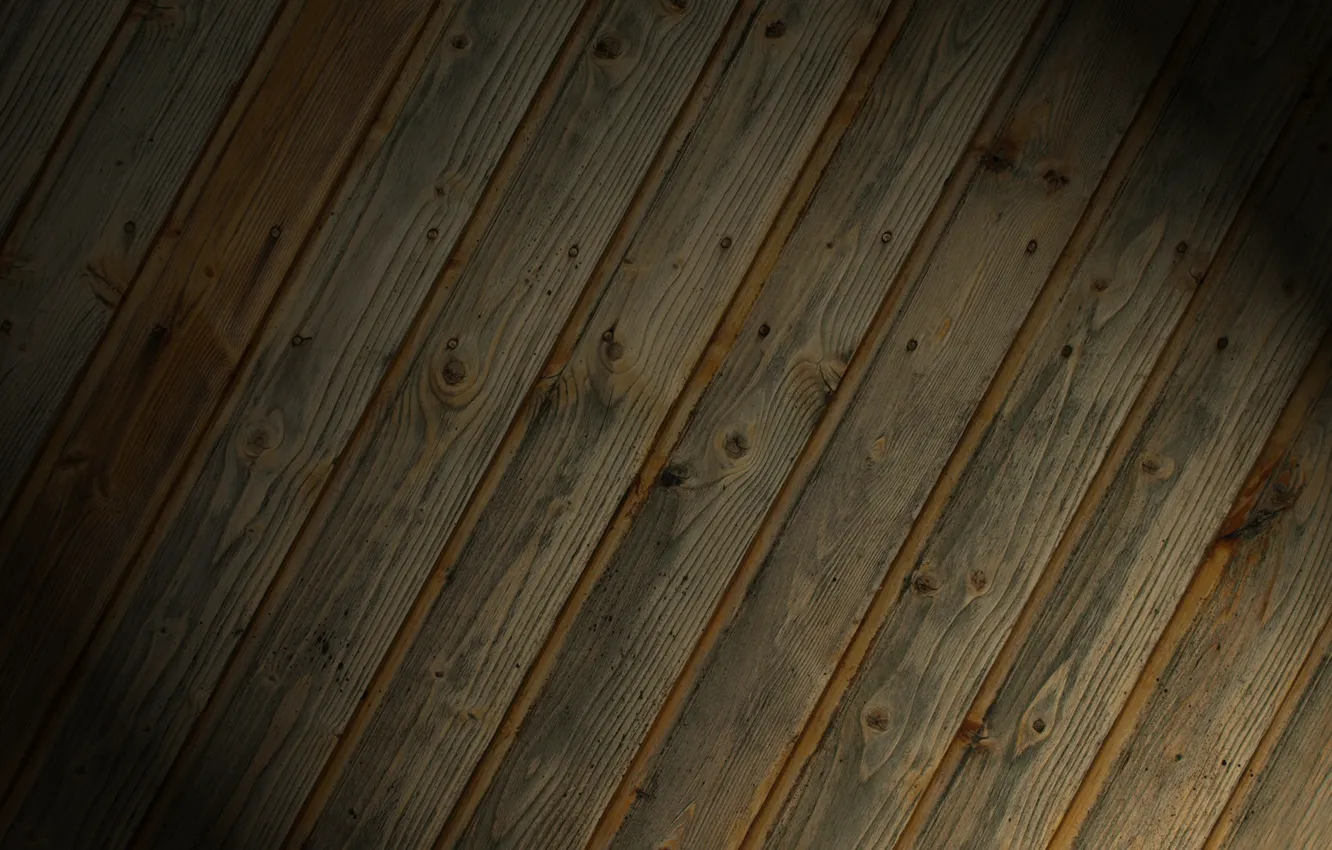 Photo wallpaper macro, trees, Board