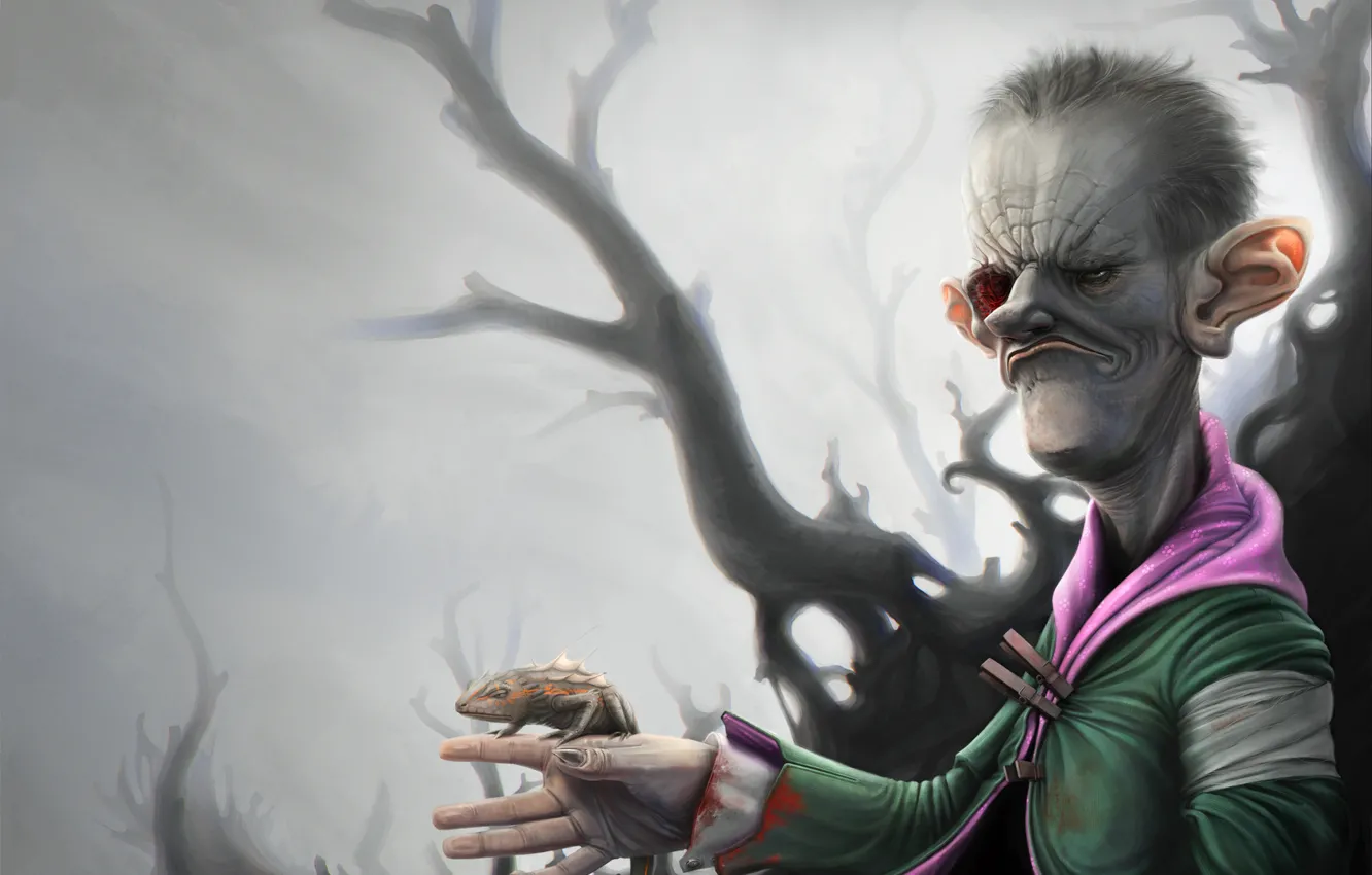 Photo wallpaper lizard, dude, Gilbert Ratface