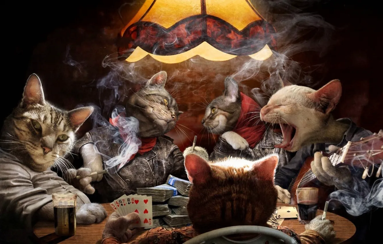 Photo wallpaper card, cats, smoke, guitar, money, cigarette