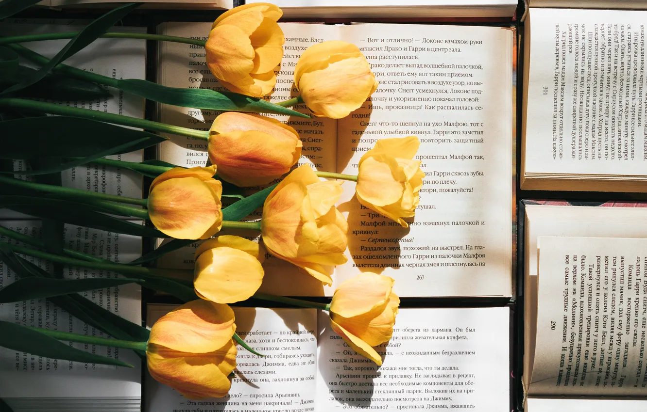 Photo wallpaper flowers, text, books, bouquet, yellow, tulips, page, literature