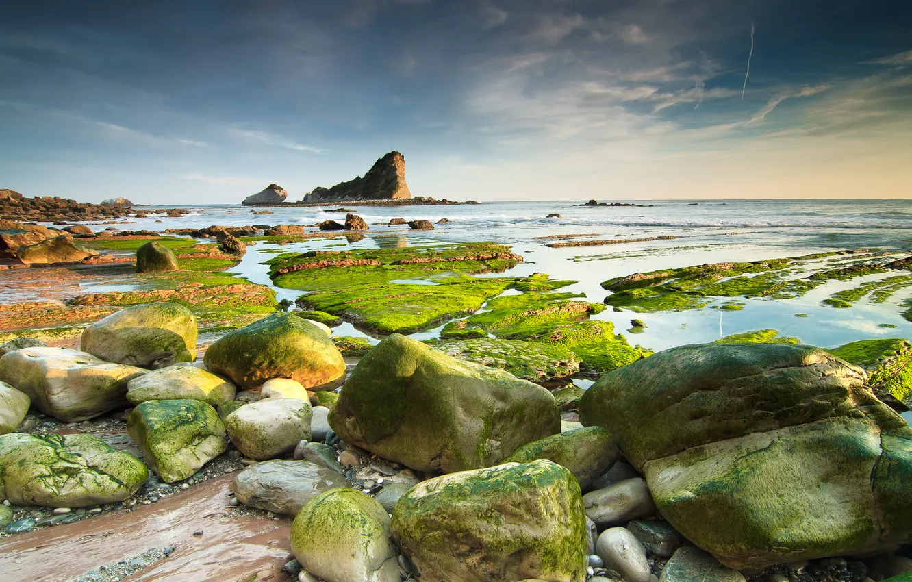 Photo wallpaper sea, the sky, algae, stones, rocks, tide