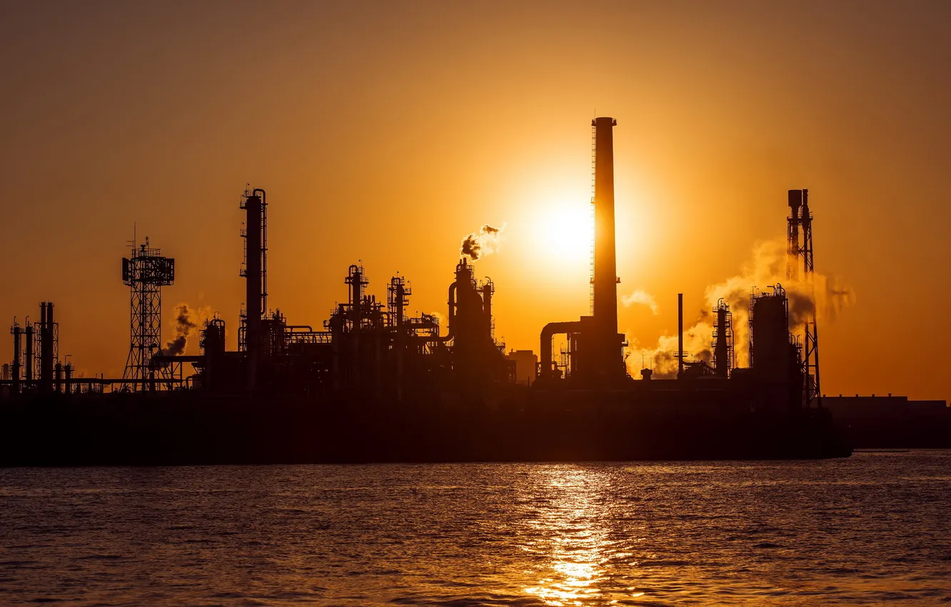 Photo wallpaper landscape, sunset, plant, silhouette