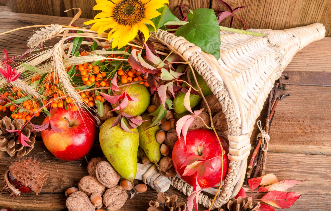 Photo wallpaper flowers, fruit, nuts, basket, bumps, Rowan, the gifts of autumn