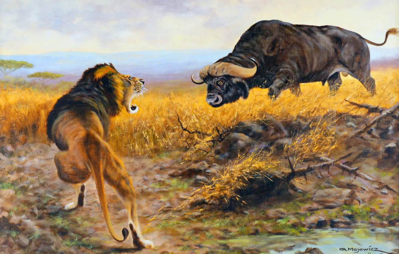 Photo wallpaper picture, Leo, Buffalo, German artist, Buffalo and lion in the savannah, George Majewicz, George Majevich
