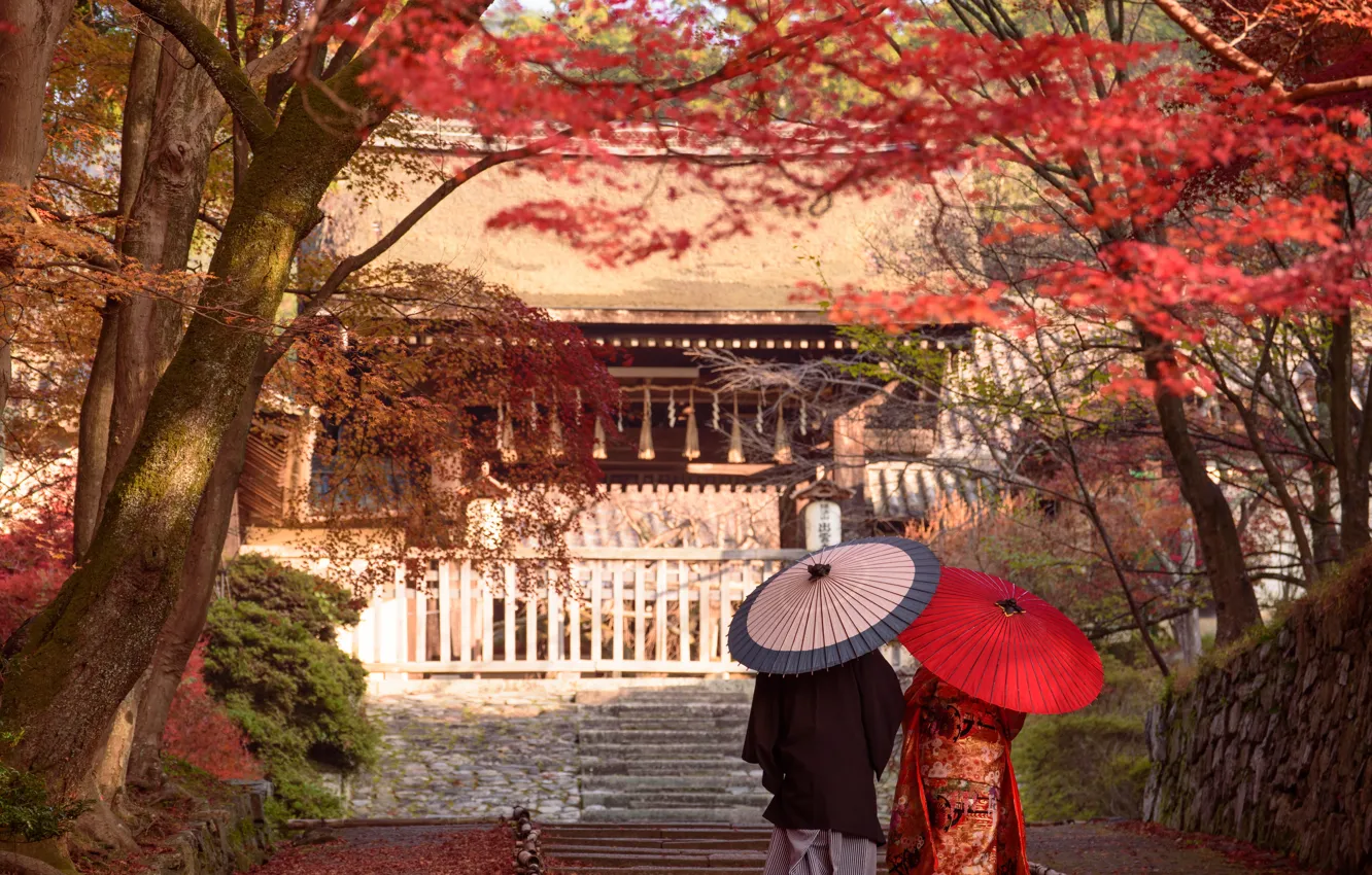 Photo wallpaper Nature, Autumn, Japan, Leaves, Ladder, Temple, Pair, Kimono