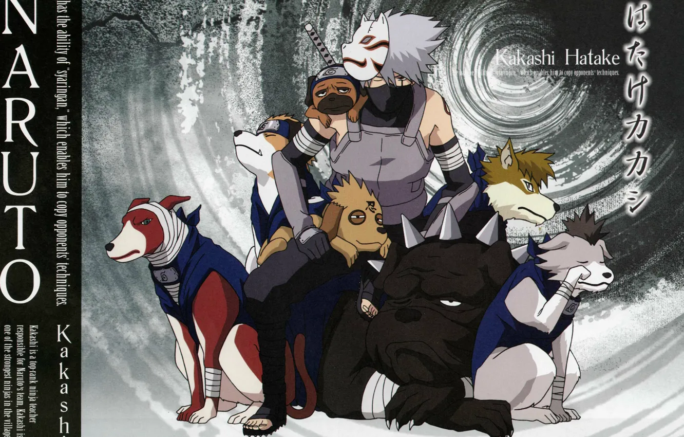 Photo wallpaper dogs, katana, mask, Naruto, bandages, ninja, sensei, Kakashi Hatake