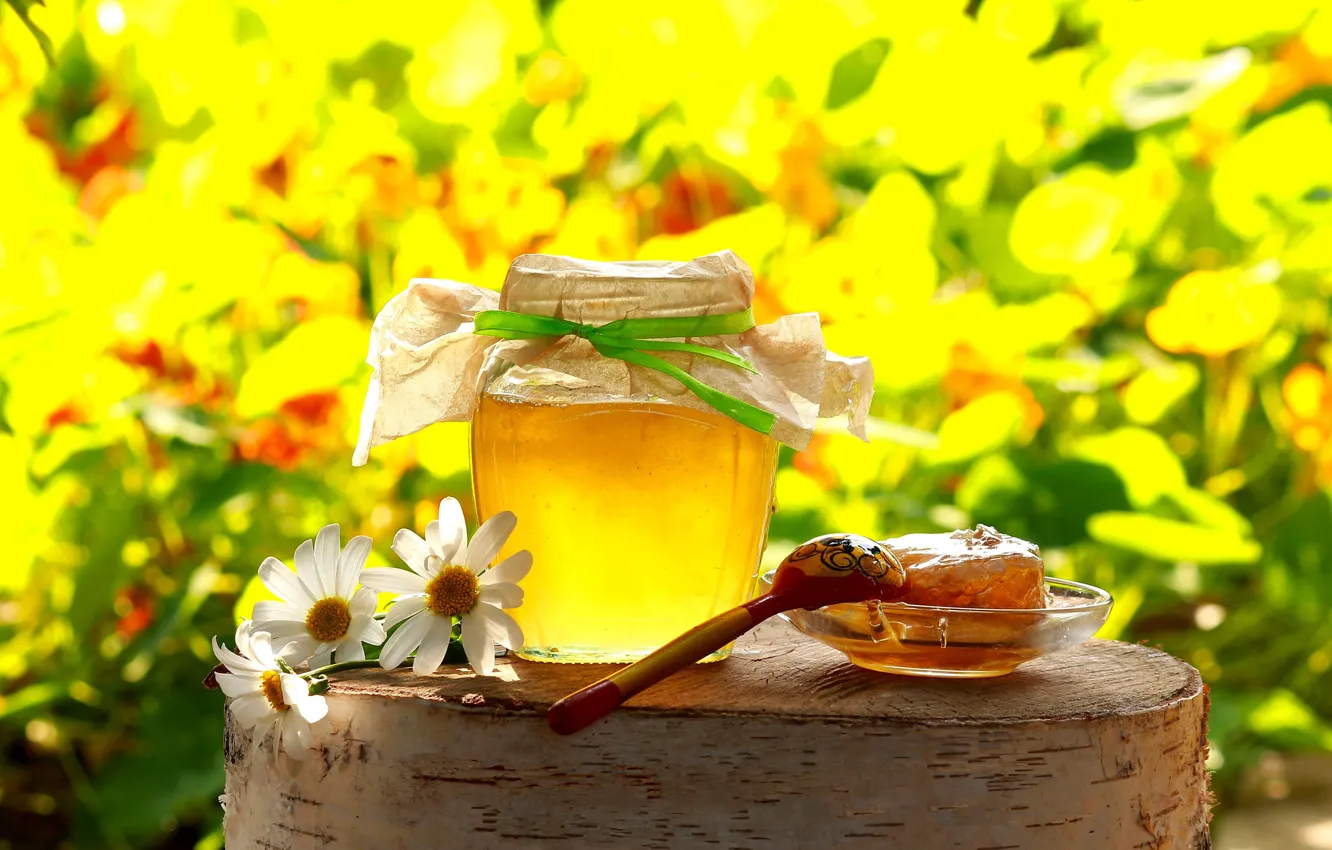 Photo wallpaper field, summer, flowers, stump, chamomile, cell, yellow, spoon