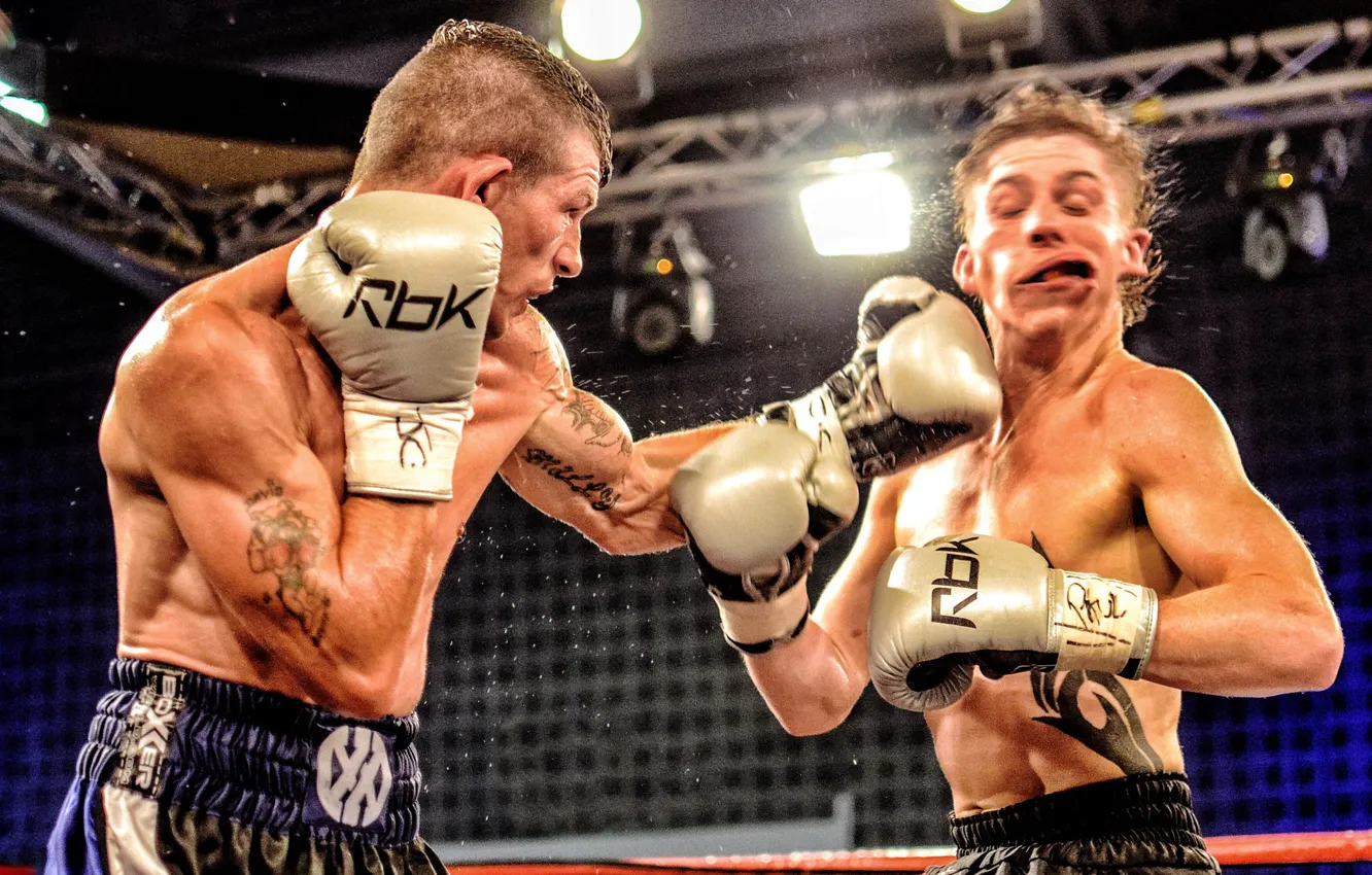 Photo wallpaper sport, Boxing, Robbie Turley, Dai Davies