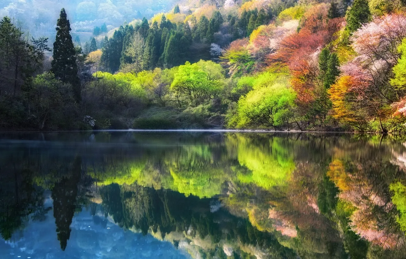 Photo wallpaper trees, nature, lake, spring, South Korea, South Korea, Jeollanam-do, Jeollanam-do