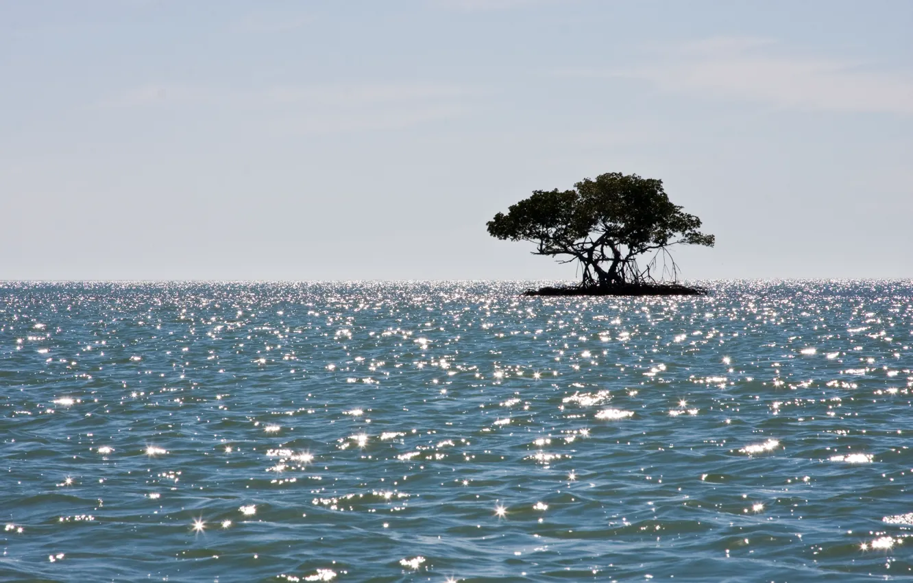 Photo wallpaper sea, island, mangroves