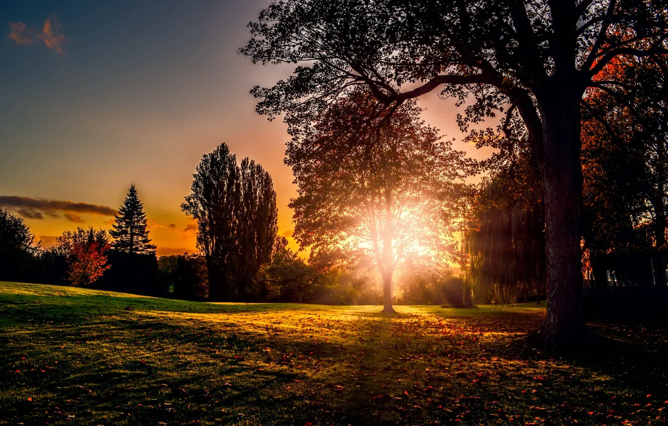 Photo wallpaper autumn, sunset, nature