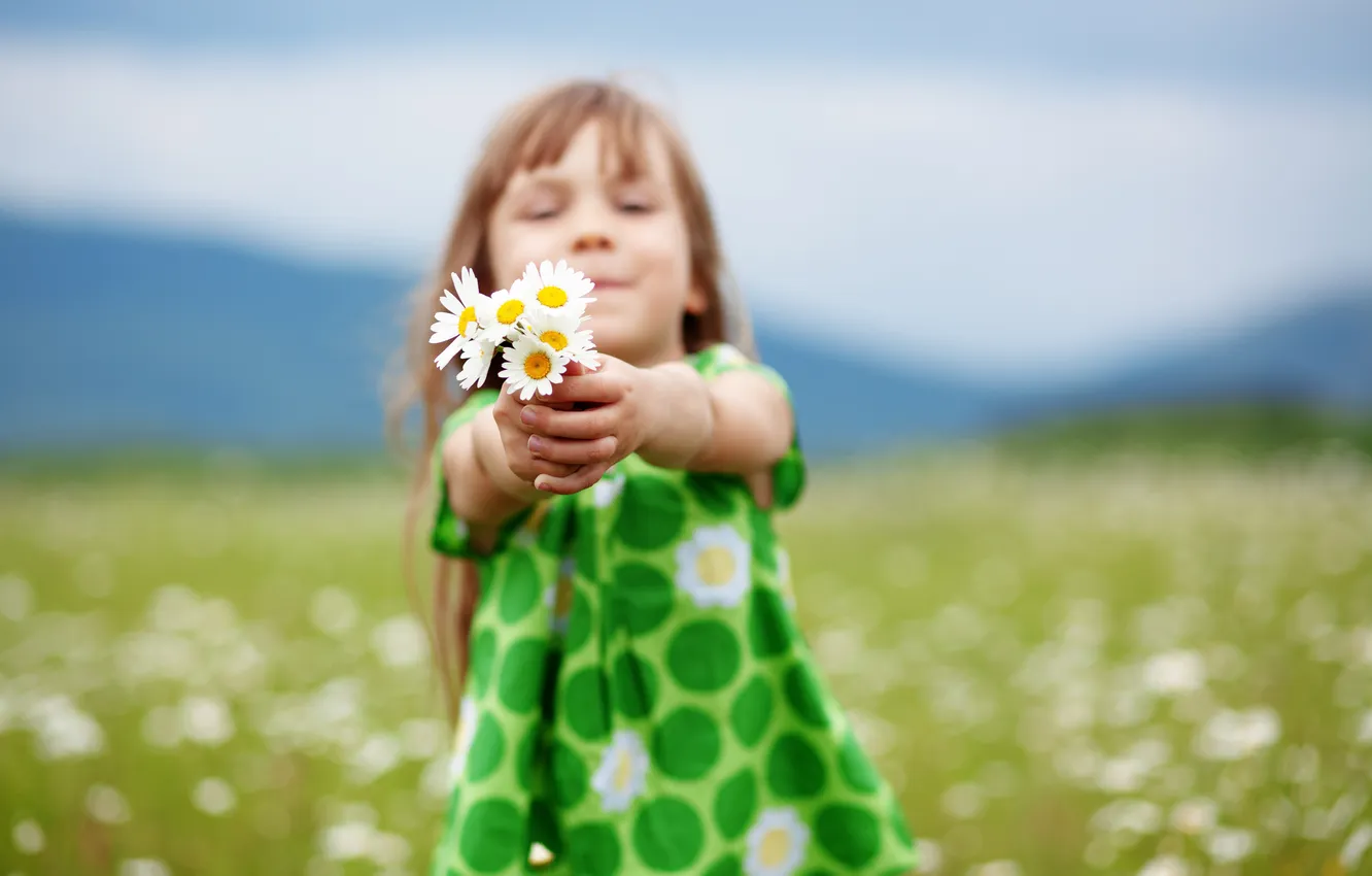 Photo wallpaper field, children, chamomile, dress, girl