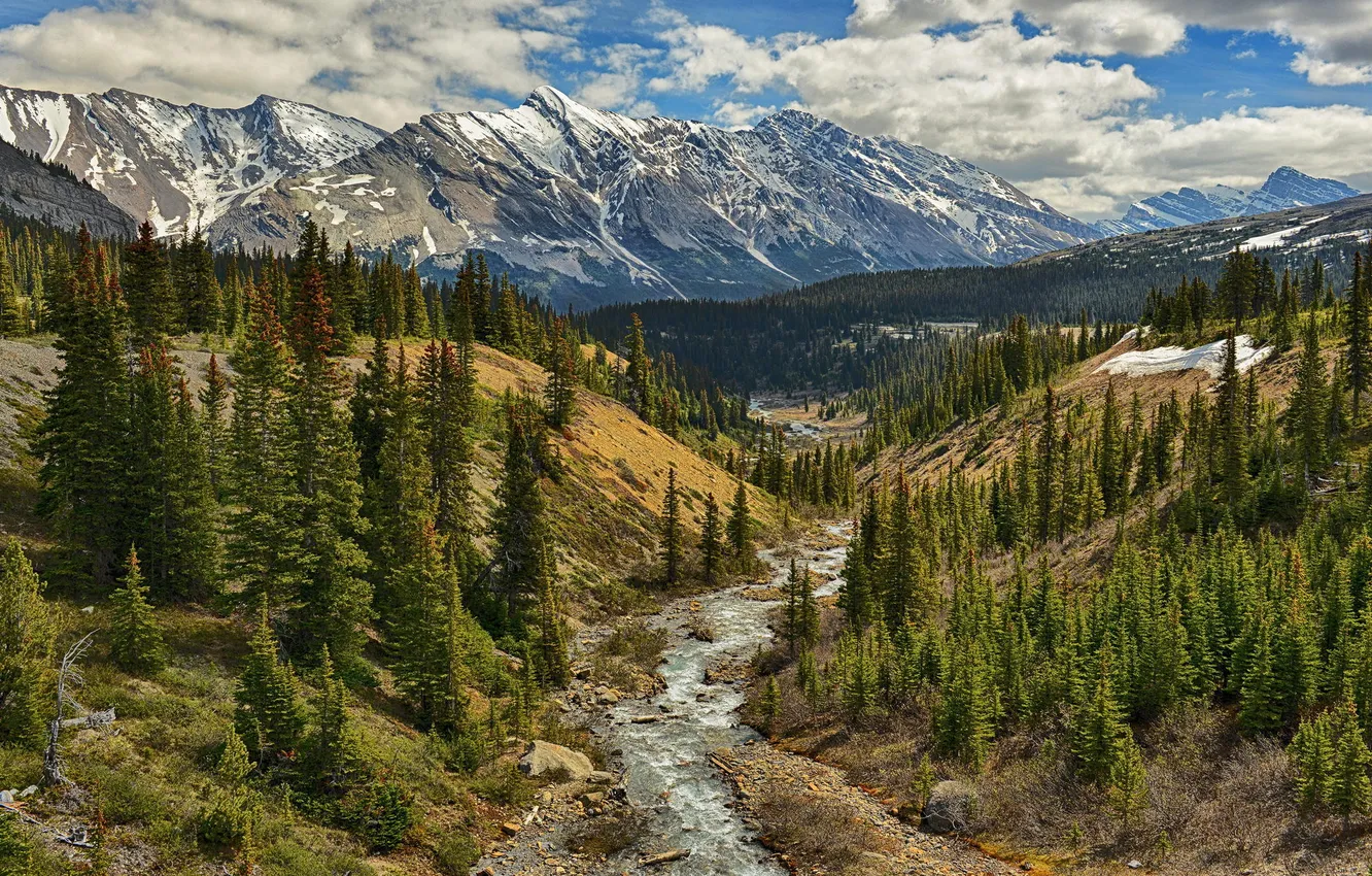 Photo wallpaper forest, mountains, nature, river, valley