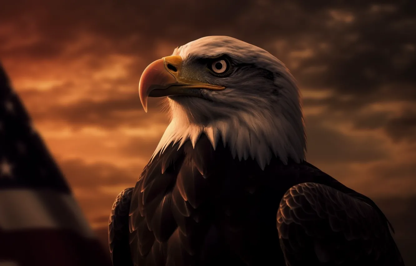 Photo wallpaper look, clouds, eagle, predator, flag, USA, bald eagle, digital art