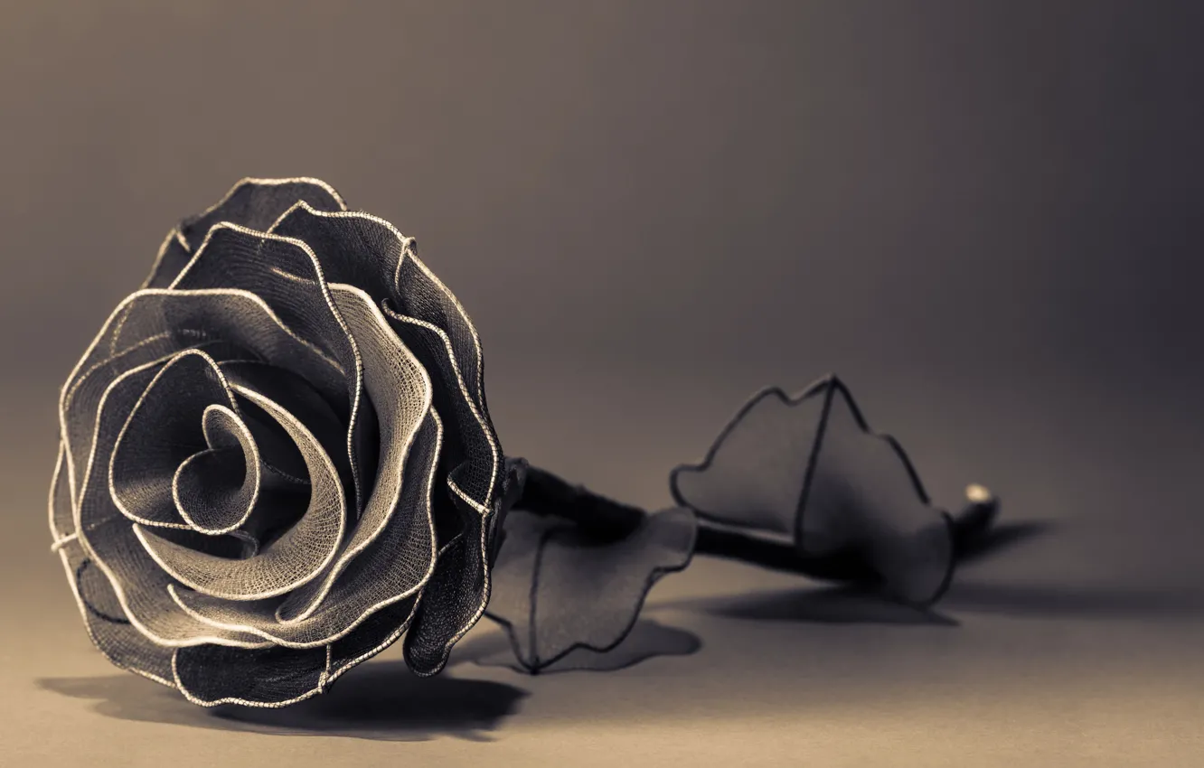 Photo wallpaper flowers, background, widescreen, black and white, Wallpaper, rose, petals, wallpaper