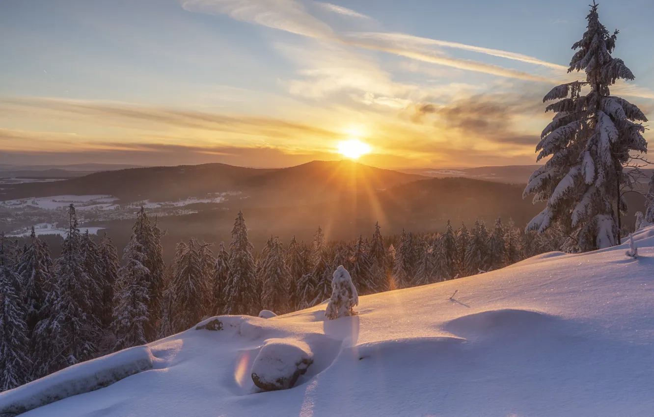 Photo wallpaper winter, forest, the sky, the sun, clouds, rays, light, snow