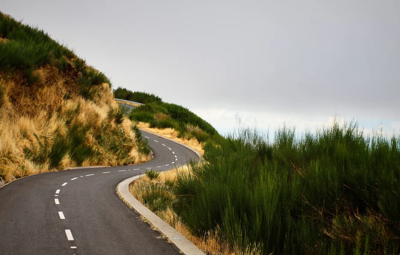 Photo wallpaper road, the sky, clouds, landscape, nature, plant, horizon, road