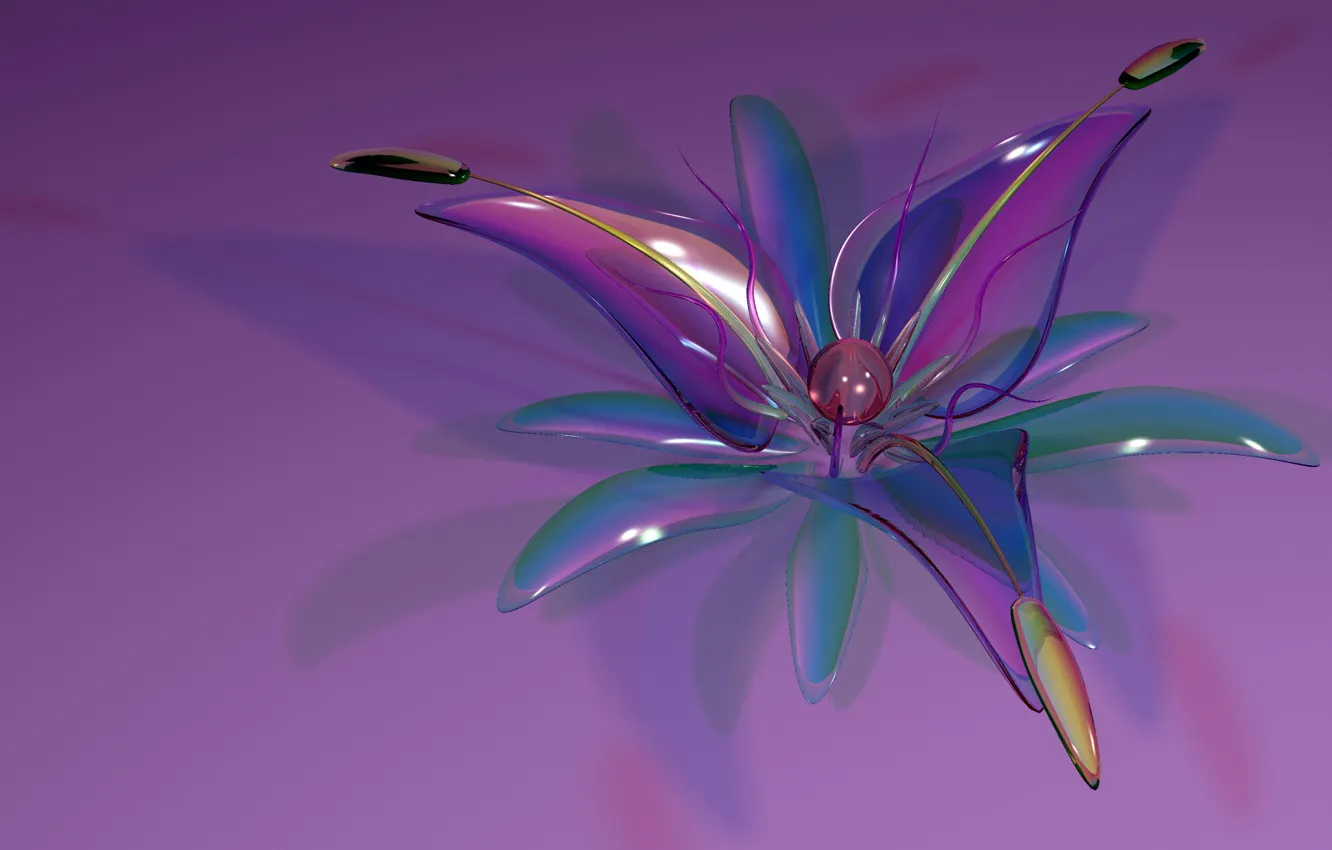Photo wallpaper flower, glass, petals