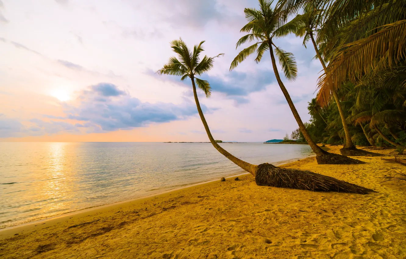 Photo wallpaper sand, sea, wave, beach, summer, sunset, palm trees, shore