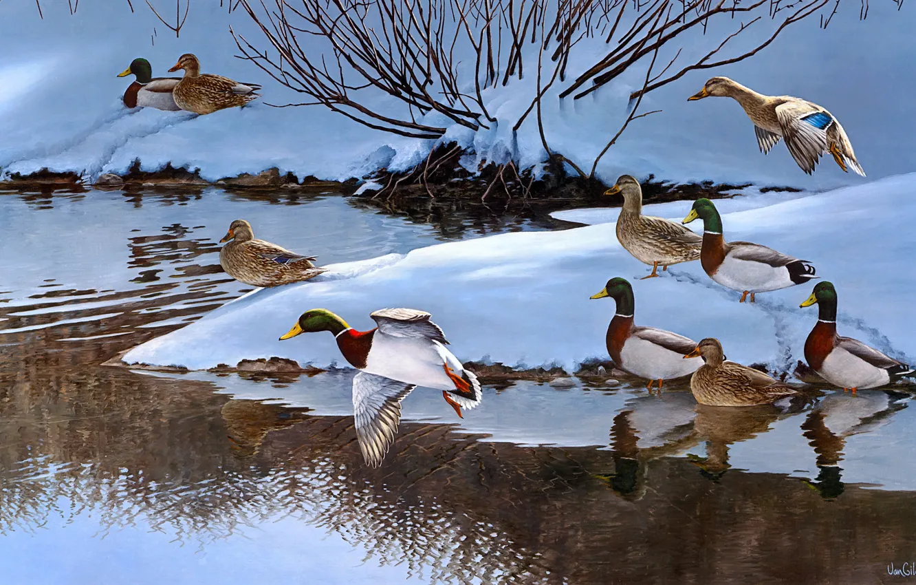 Photo wallpaper winter, snow, flight, branches, nature, river, bird, shore
