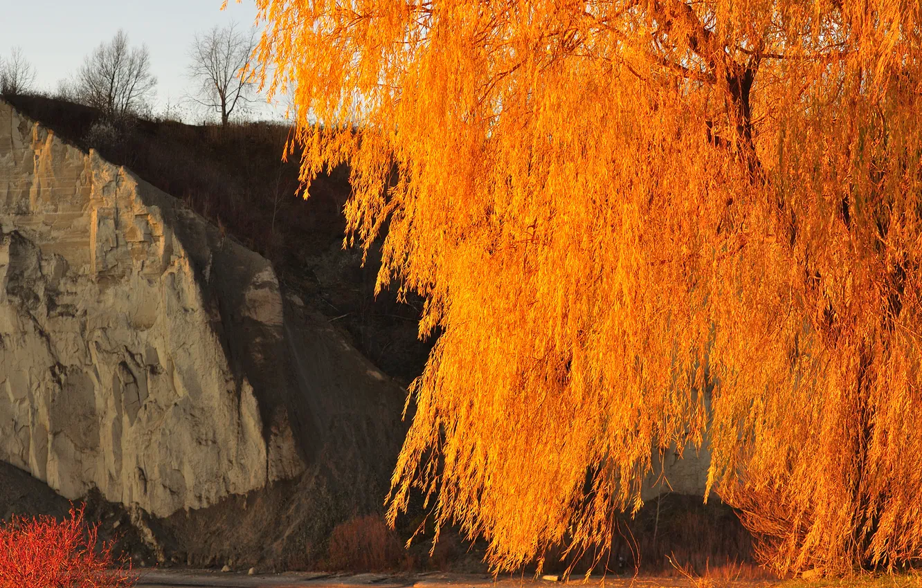 Photo wallpaper autumn, the sky, rock, tree