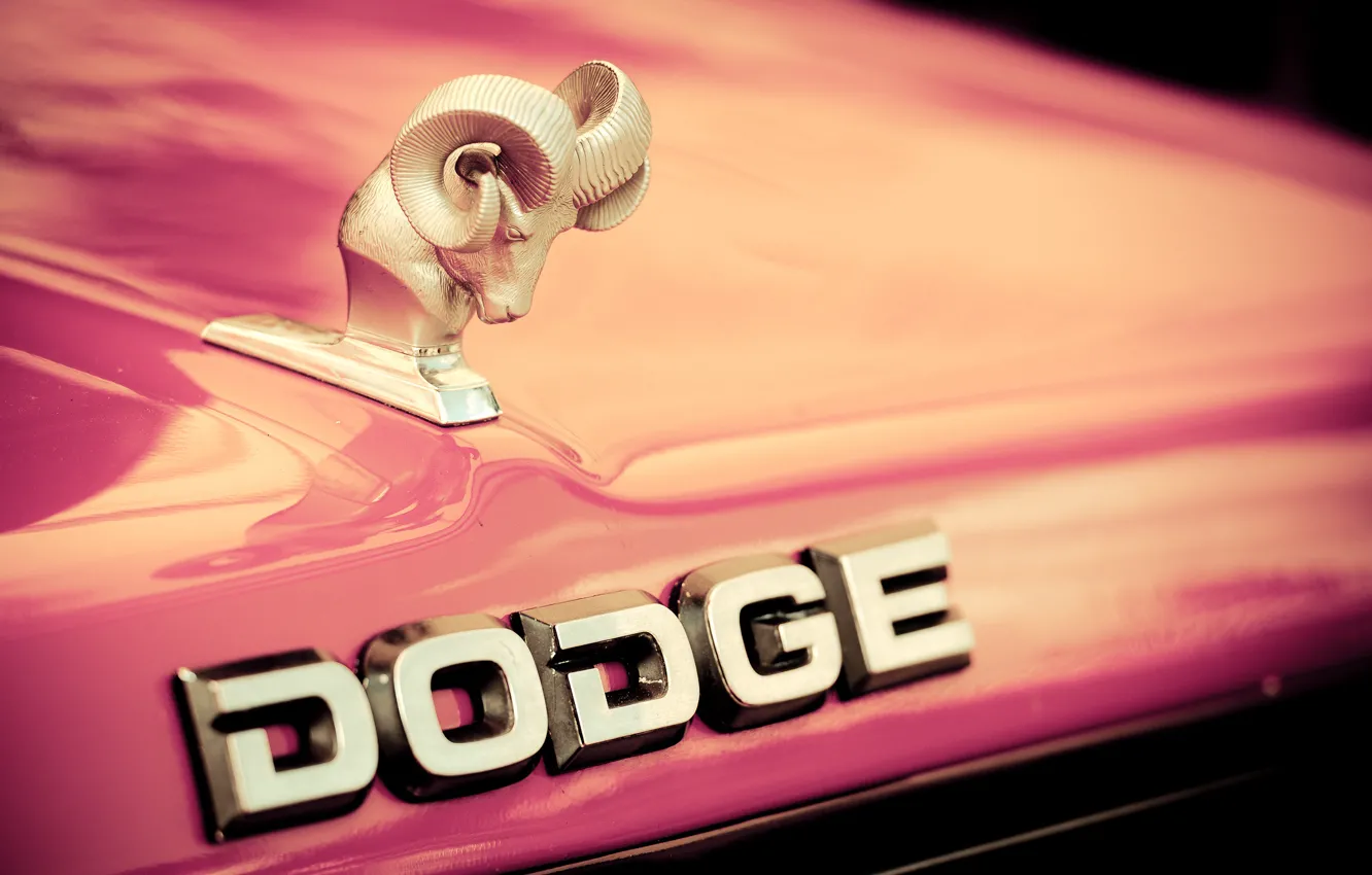 Photo wallpaper the hood, logo, Dodge, emblem