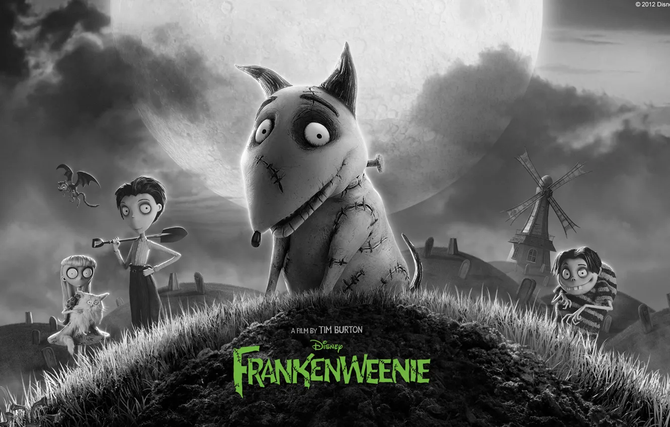 Photo wallpaper cartoon, dog, Disney, 2012, dog, Frankenweenie, FRANKENWEENIE, Tim Burton
