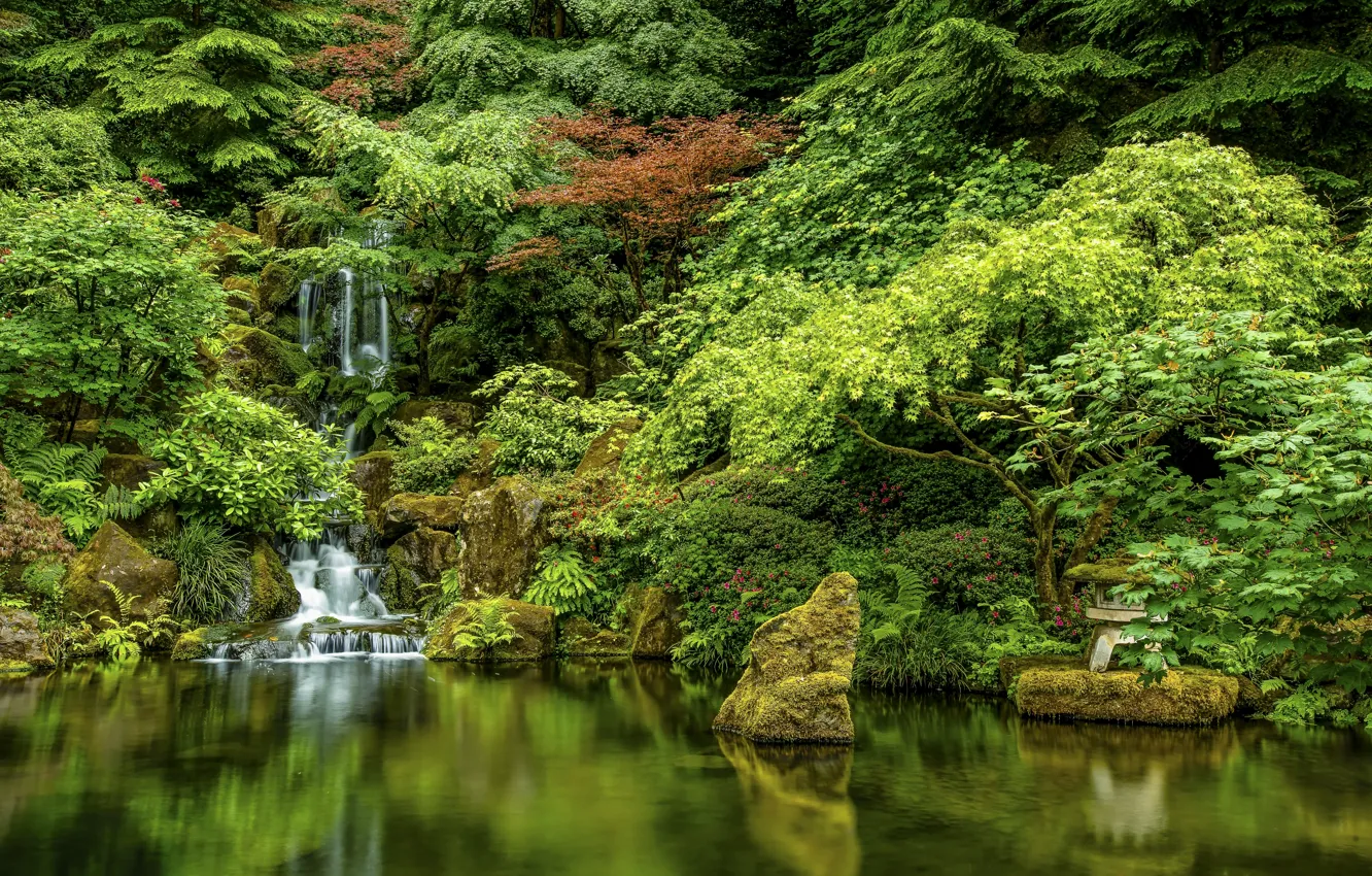 Photo wallpaper trees, lake, stones, waterfall, Oregon, Portland, cascade, Oregon