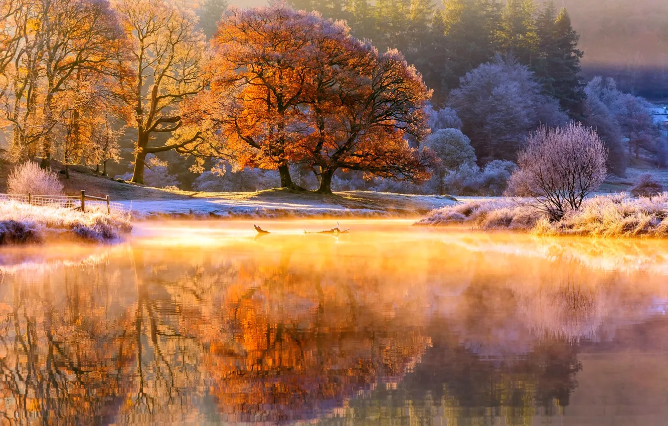 Photo wallpaper frost, autumn, light, trees, nature, river, morning, couples
