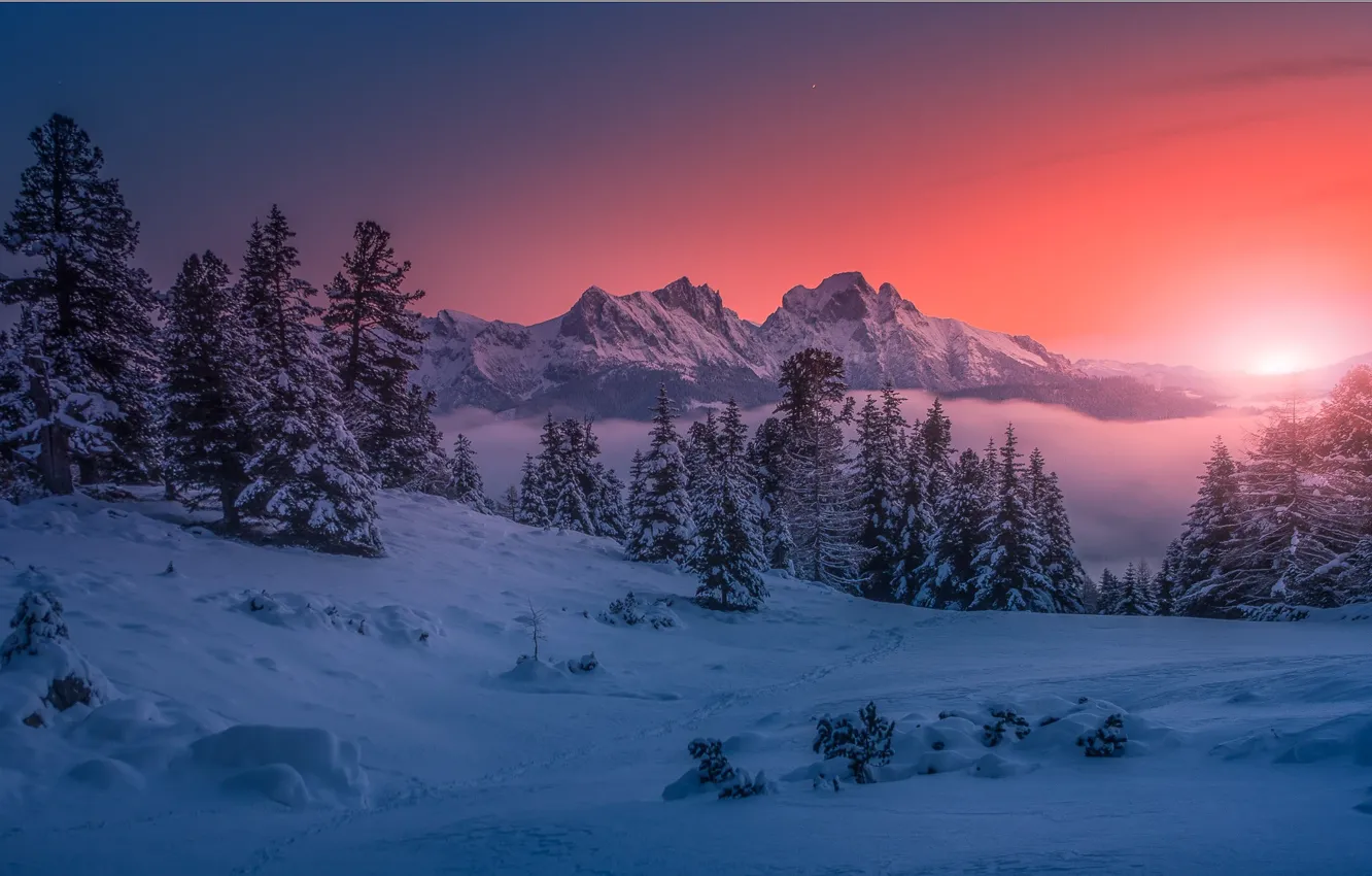 Photo wallpaper winter, snow, mountains, dawn, morning