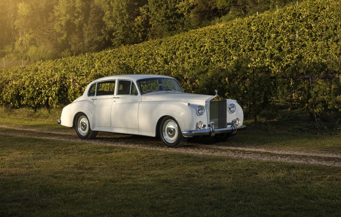 Photo wallpaper car, Rolls-Royce, 1961, Ringbrothers, vineyards, Silver Cloud, Rolls-Royce Silver Cloud II, Rolls-Royce Silver Cloud II …