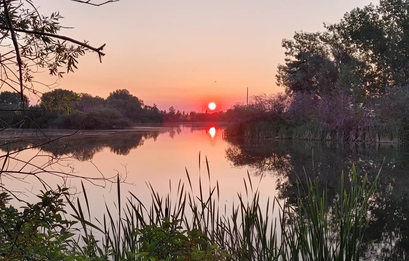 Photo wallpaper nature, lake, morning, sunrise, perfect, pond, peaceful