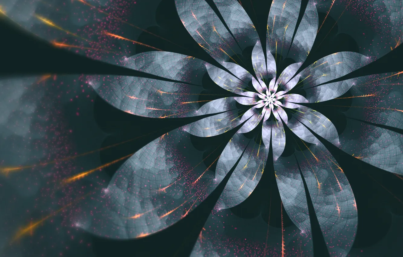 Photo wallpaper flower, light, line, spiral, petals