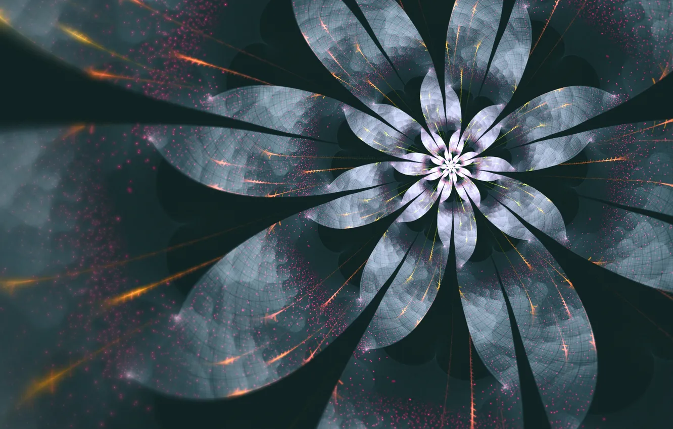 Photo wallpaper light, line, flowers, spiral, petals