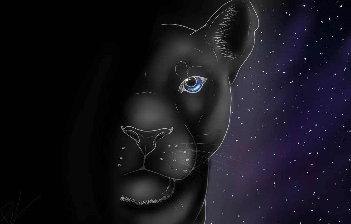 Photo wallpaper mustache, look, stars, animal, predator, Panther, art