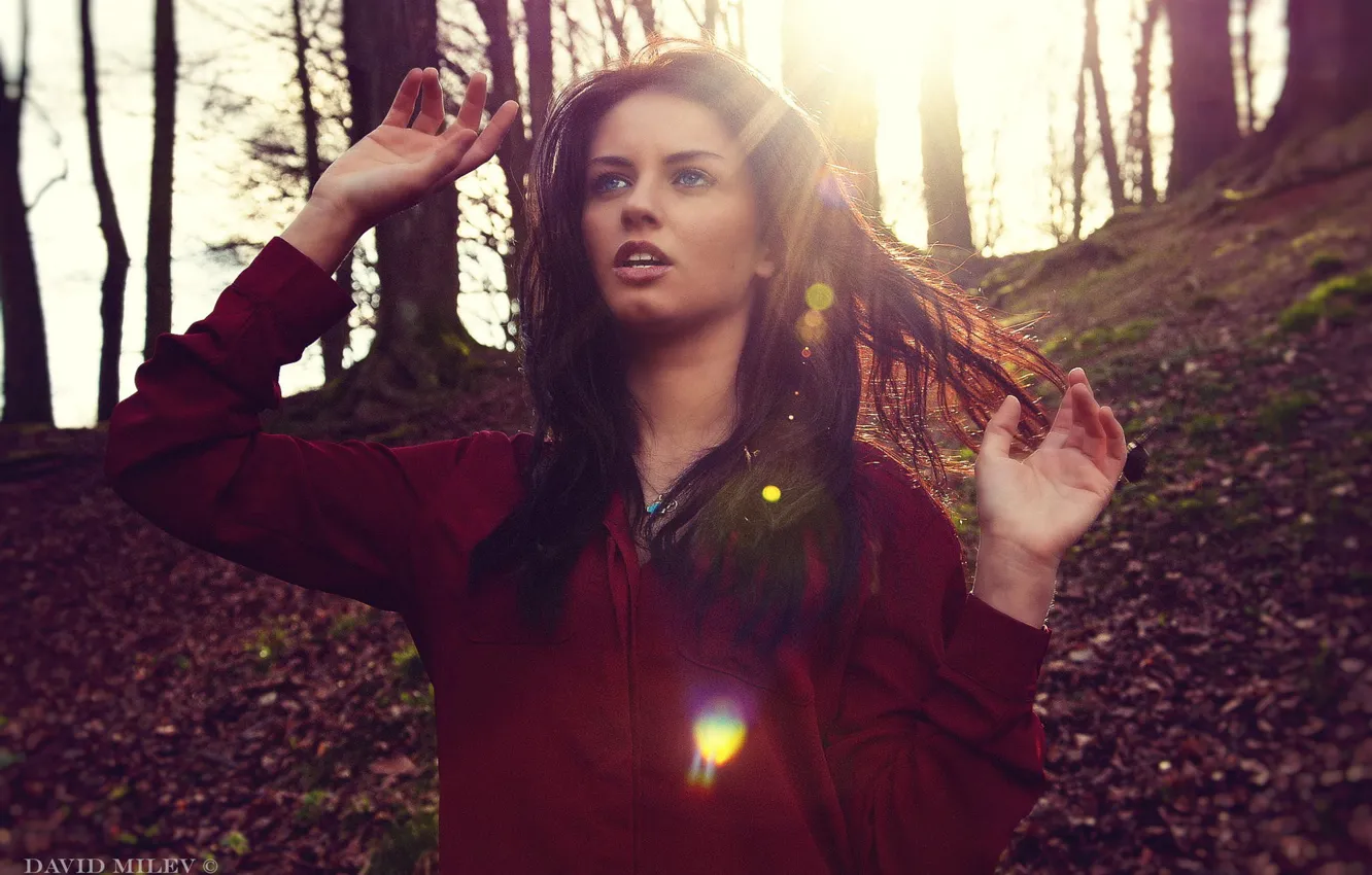 Photo wallpaper the sun, trees, model, portrait, hands, makeup, hairstyle, shirt