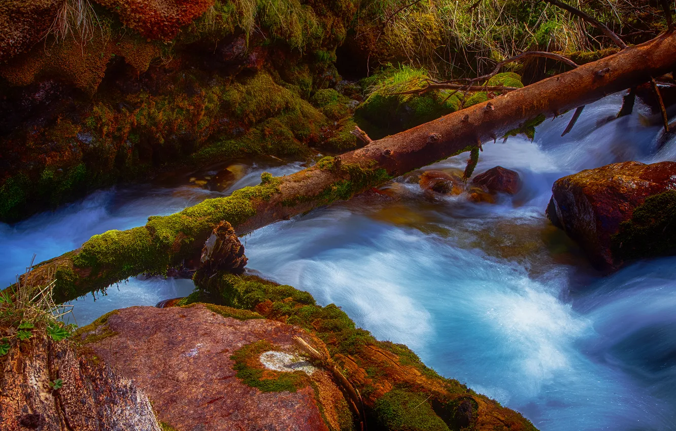 Photo wallpaper moss, beauty, the flow of water, boulders, magic water, Elina Magalimova