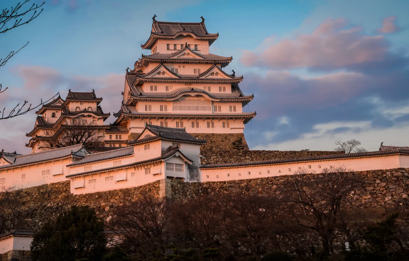 Photo wallpaper the sky, castle, Japan, Japan, Himeji Castle, Himeji, Himeji Castle, Samoa egrets
