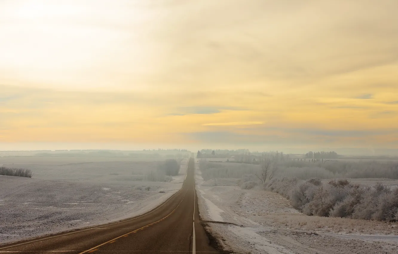Photo wallpaper winter, road, field, nature, fog, morning