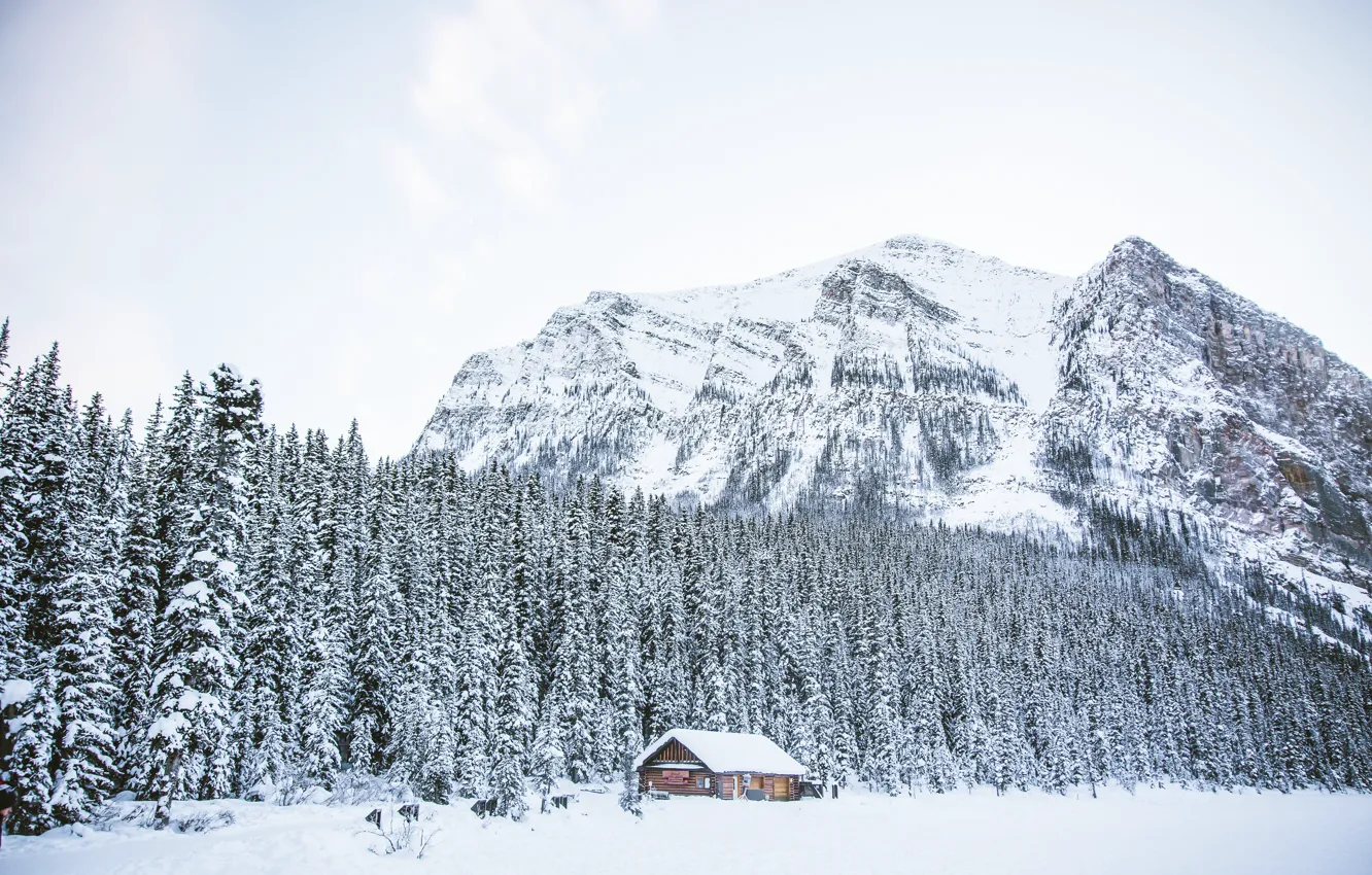 Photo wallpaper winter, forest, snow, trees, mountains, lake, house, hut