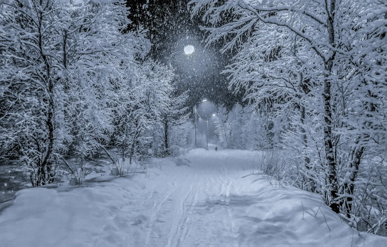 Photo wallpaper winter, road, light, snow, trees, landscape, night, traces