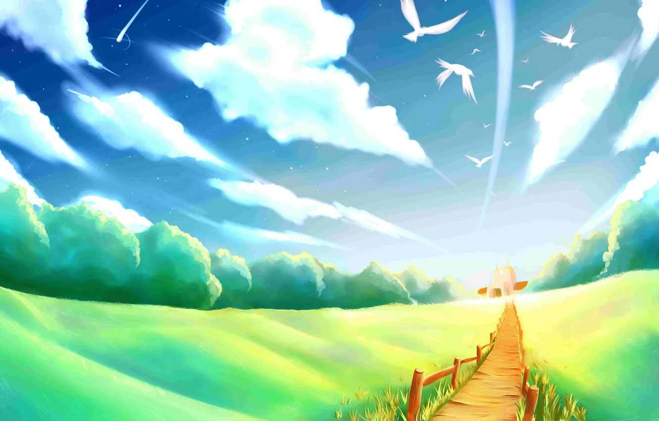 Photo wallpaper road, field, forest, clouds, bird, pigeons, Church