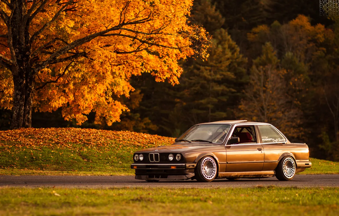 Photo wallpaper autumn, light, tree, foliage, BMW, e30, 325si