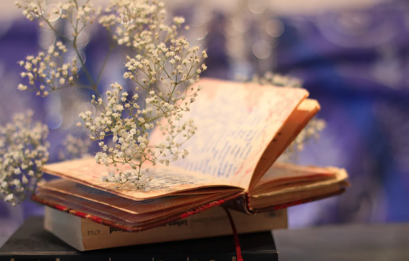 Photo wallpaper mood, bokeh, plant, books