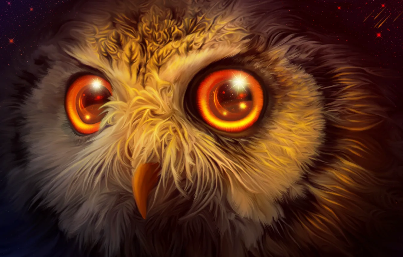 Photo wallpaper space, owl, by exobiology