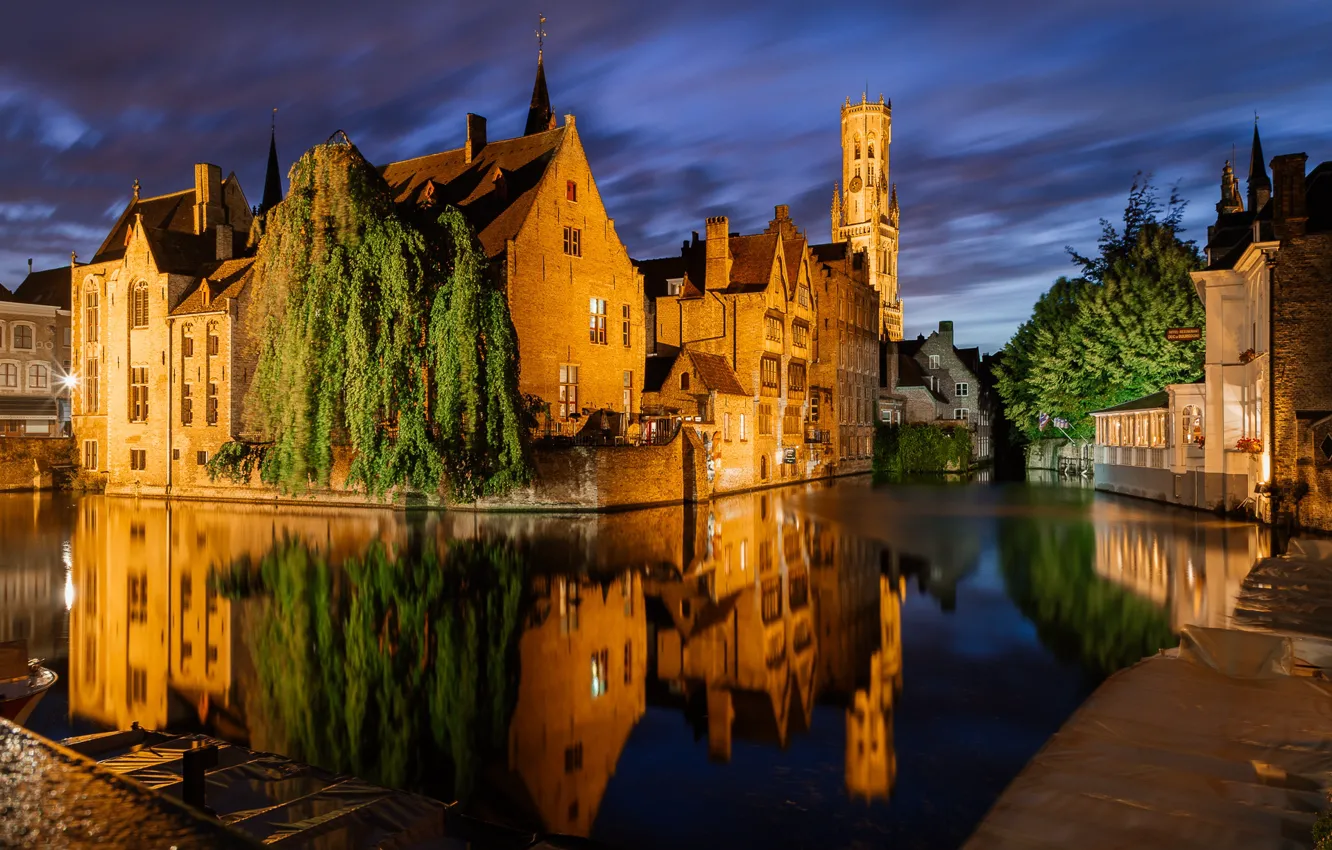 Photo wallpaper trees, night, the city, reflection, building, home, lighting, channel