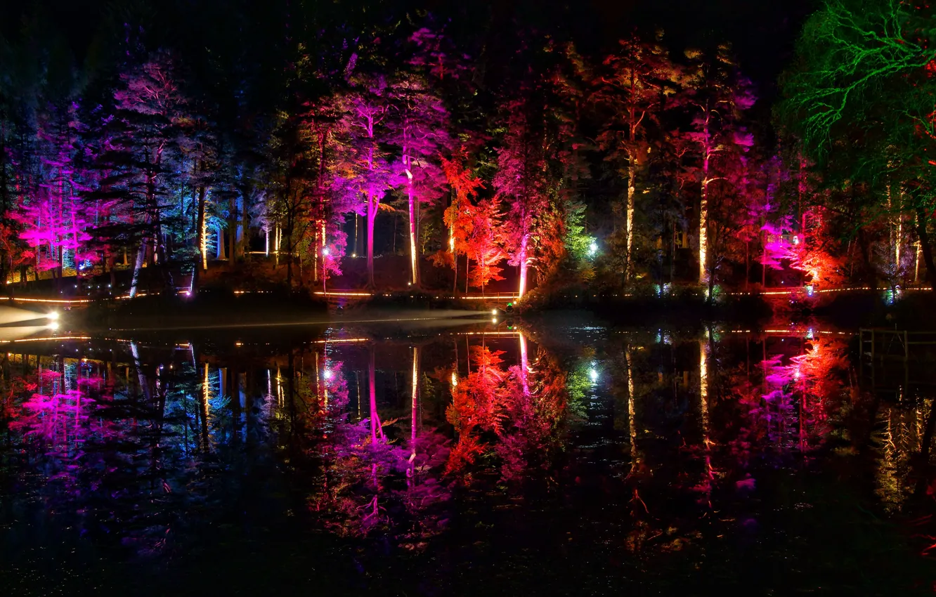 Photo wallpaper trees, night, lights, pond, Park, color