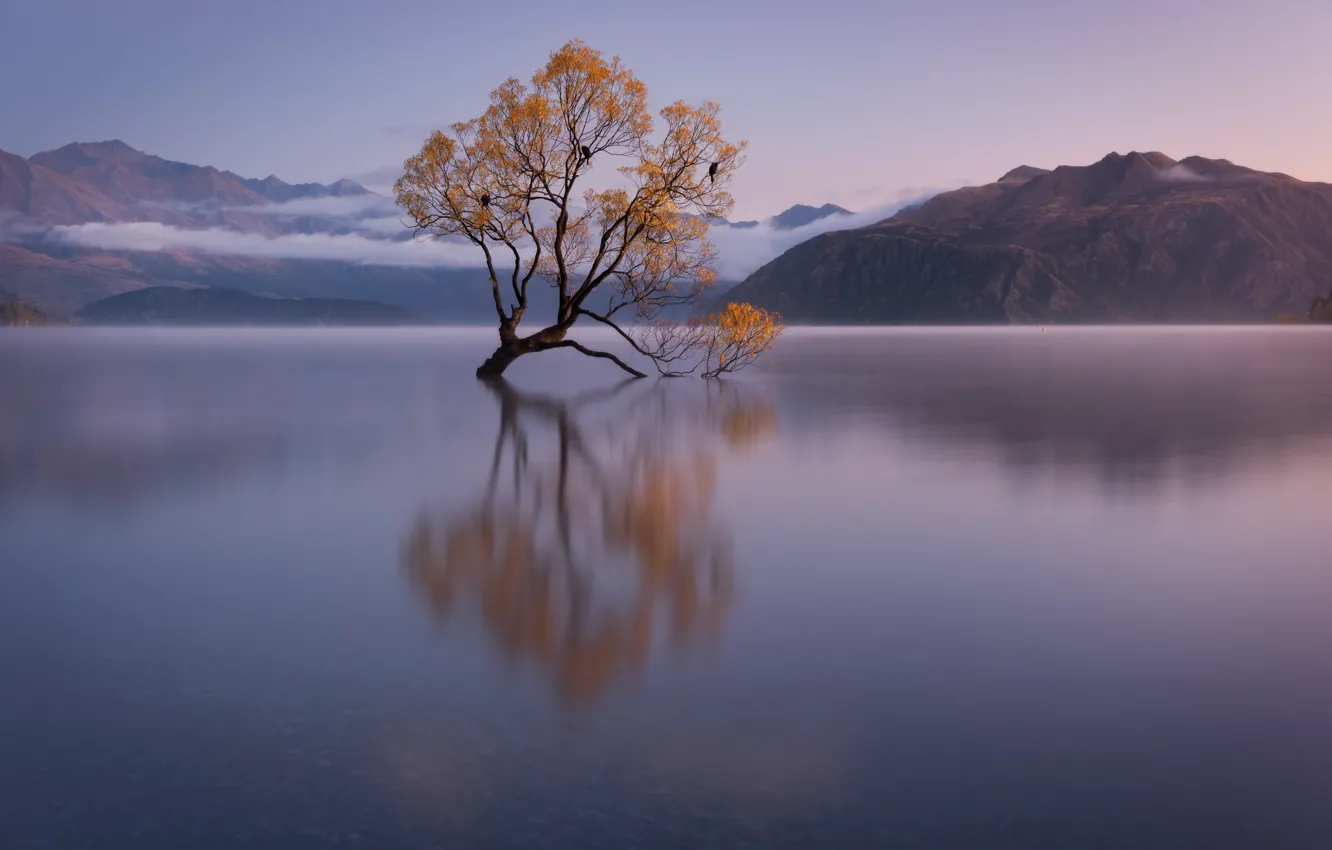 Photo wallpaper autumn, trees, New Zealand, pond