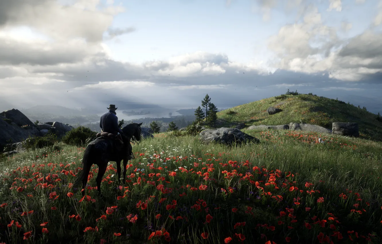 Photo wallpaper background, the game, Red Dead Redemption II